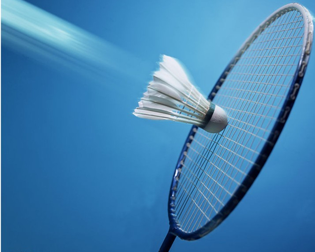 工作组将采 工作组将采